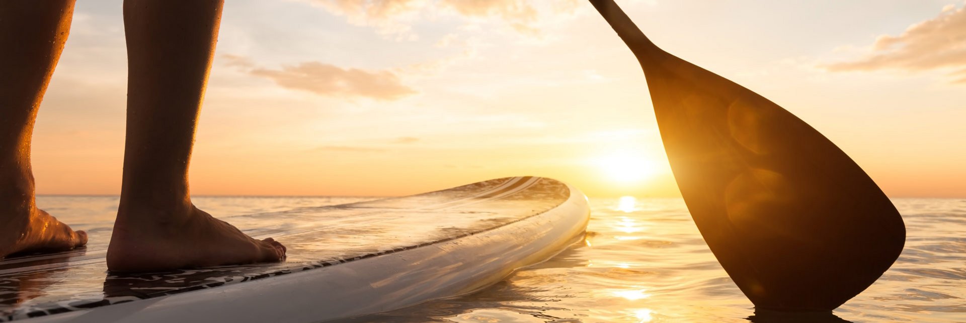 Eine Person steht auf einem SUP Board und paddelt der Sonne entgegen.
